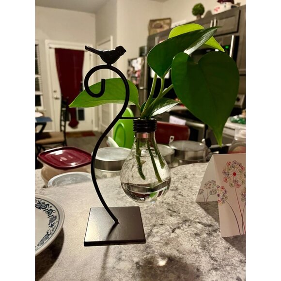 New Desktop Glass Planter Vase, Modern Bulb Holder for Home & Plant Decor - Picture 9 of 11